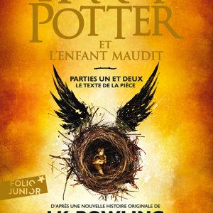 Harry Potter et l'enfant maudit