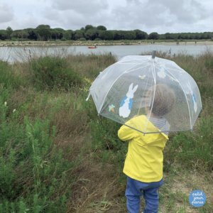 Parapluie - Pierre lapin