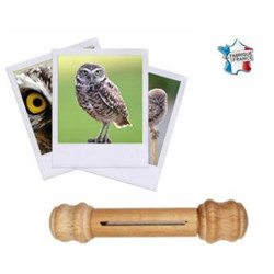 Appeau de la Chouette chevêche