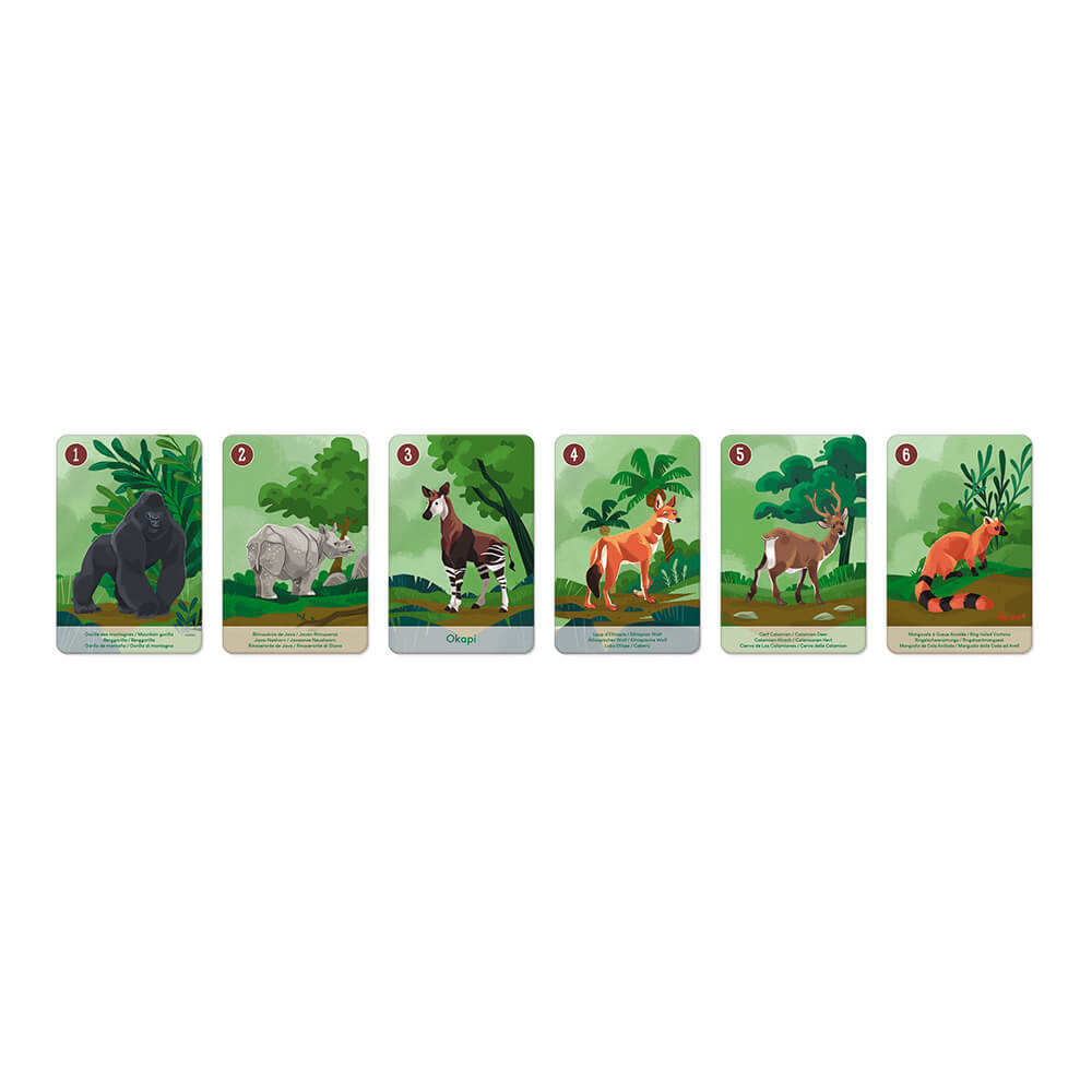 Jeu des 7 familles : le règne animal – Image 2