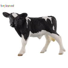 Veau Holstein