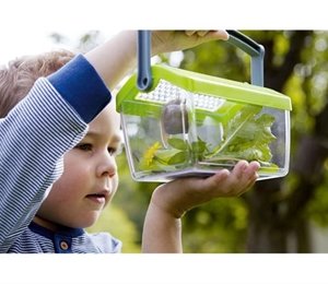 Boîte à insectes