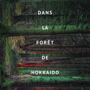 Dans la forêt de Hokkaido