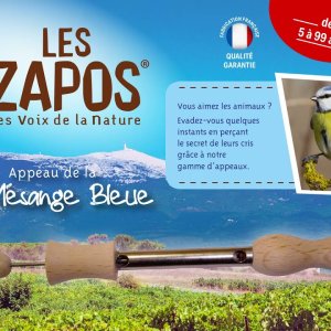 Appeau de la Mésange bleue