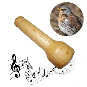 Appeau de la Grive musicienne