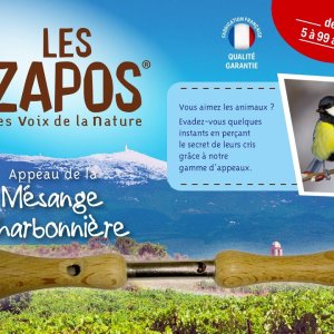 Appeau de la Mésange charbonnière