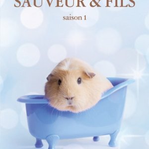 Sauveur et fils : saison 1