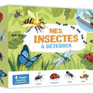 Mes insectes à déterrer