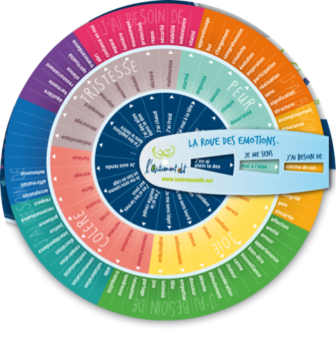 Roue des émotions version "adulte"