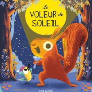 Le voleur de soleil